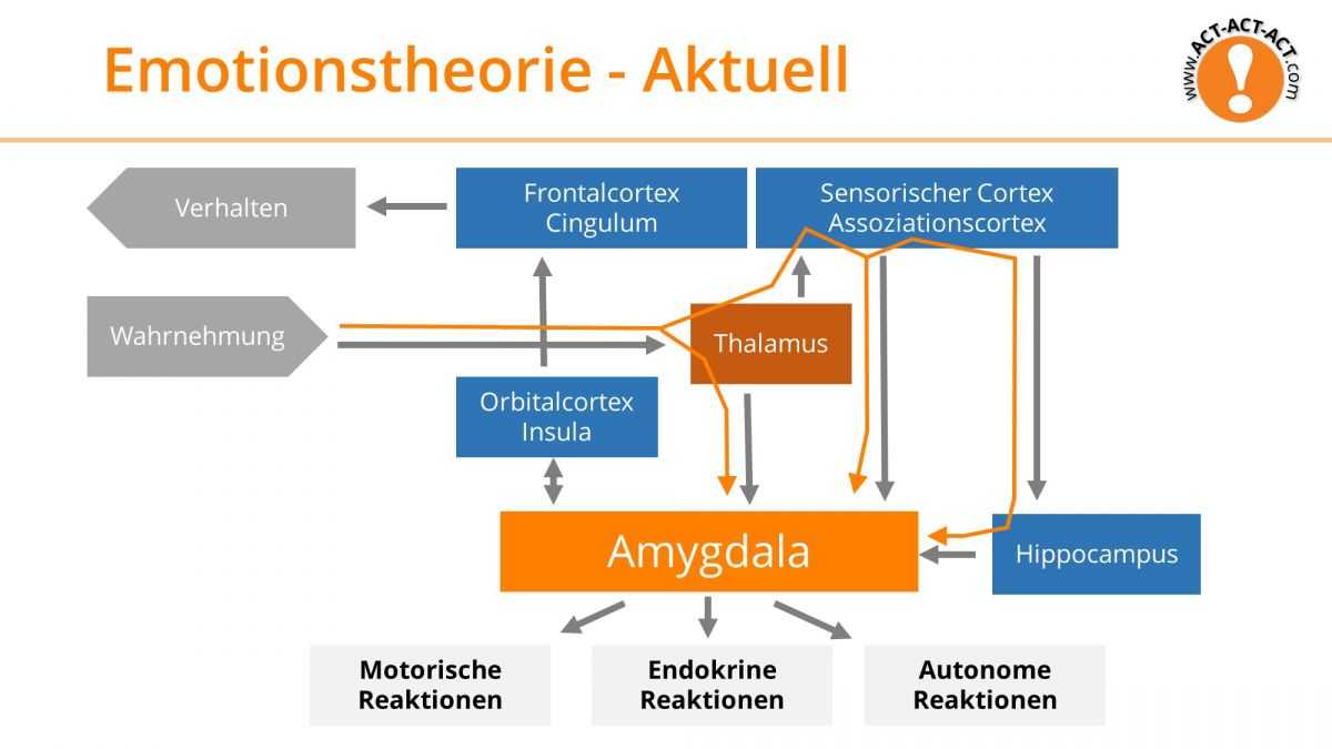 Psychologie Aufnahmetest Kapitel 9: Moderne Emotionstheorie