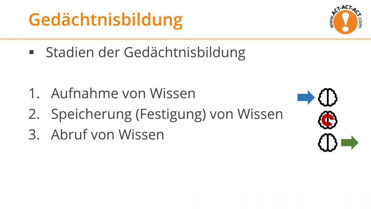 Psychologie Aufnahmetest Kapitel 7: Gedächtnisbildung