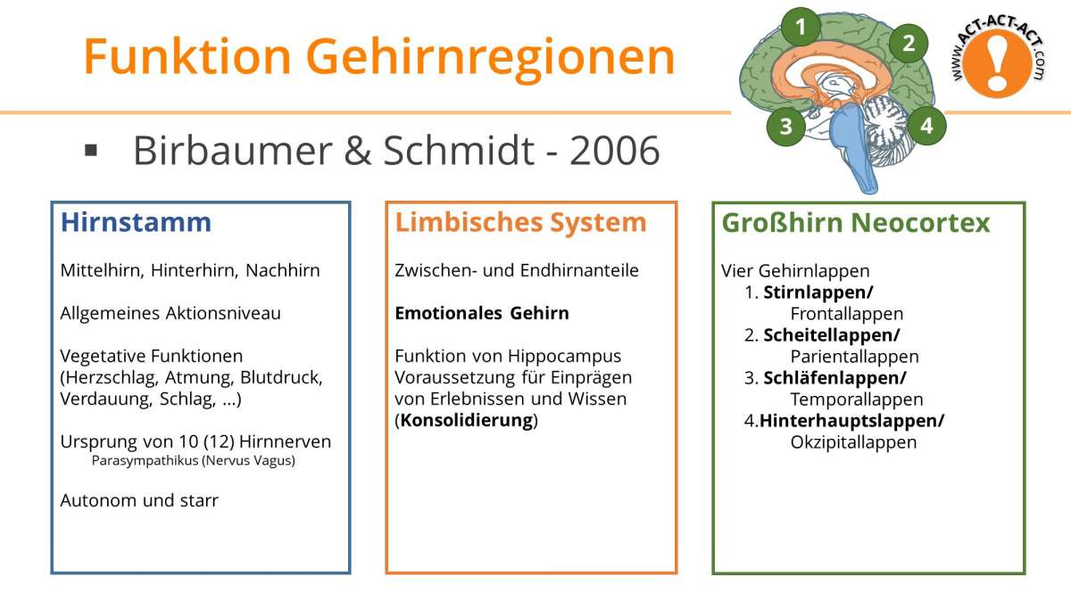 Psychologie Aufnahmetest Kapitel 6: Funktionen der Gehirnregionen